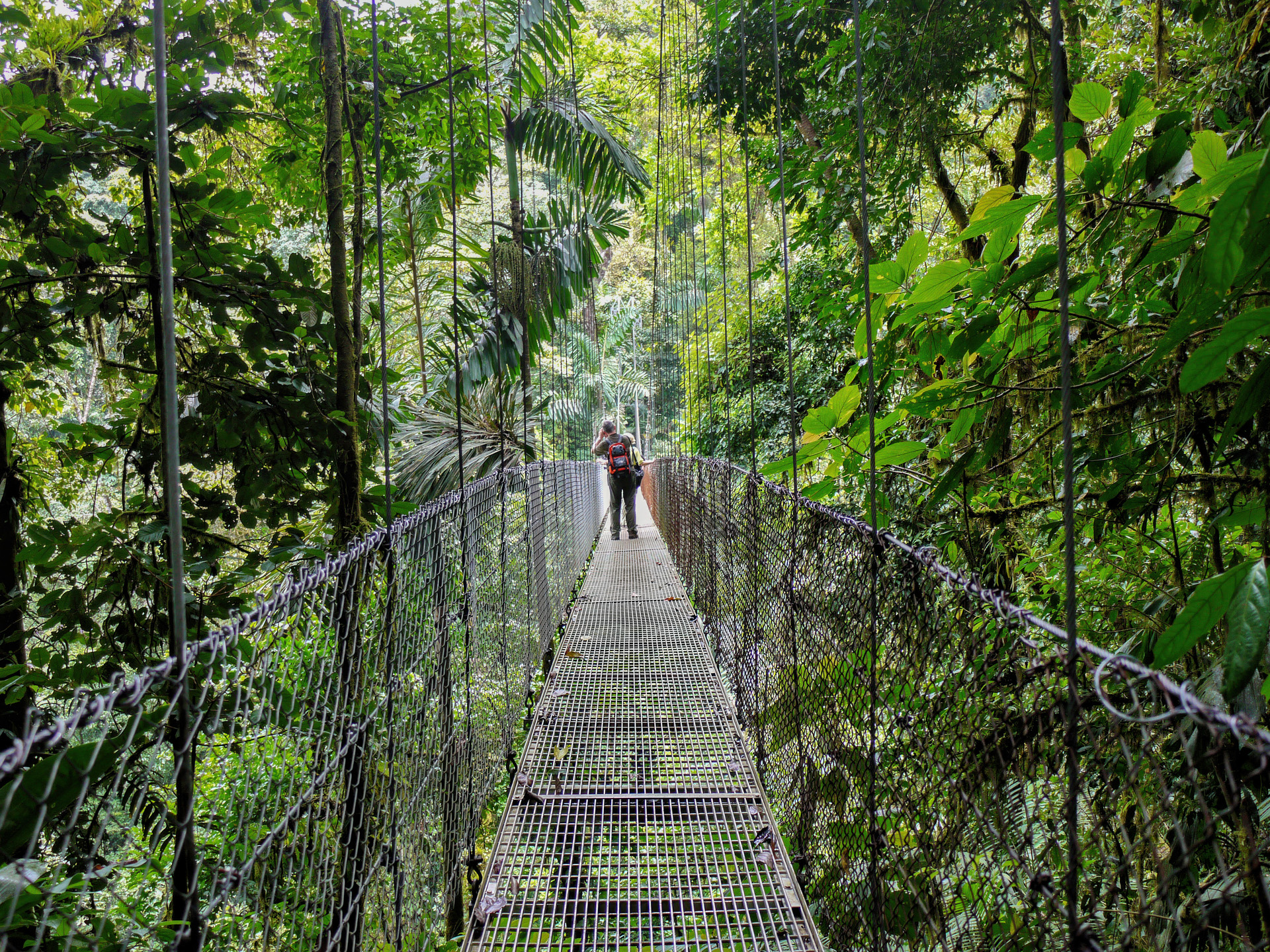Hängebrücke im Hängebrückenpark Arenal
